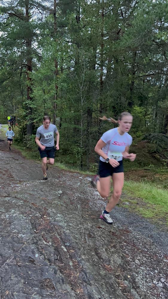 Klikk for stort bilde