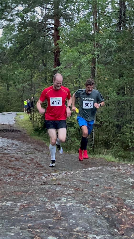 Klikk for stort bilde
