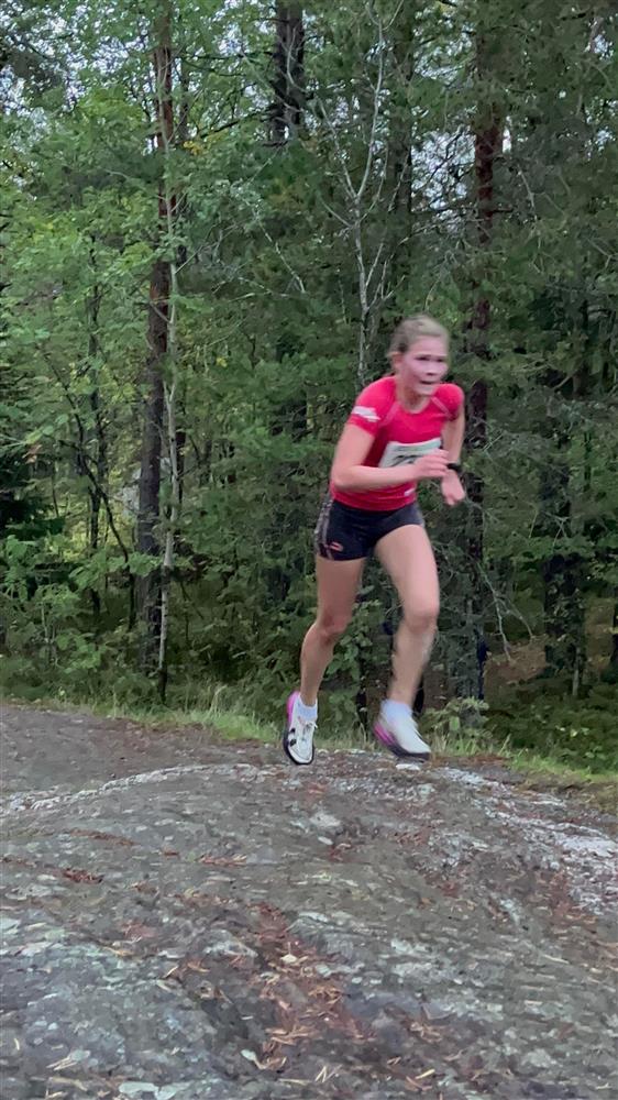 Klikk for stort bilde