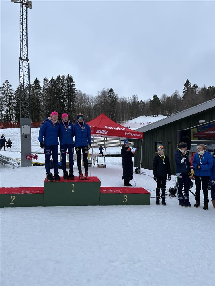 Klikk for stort bilde