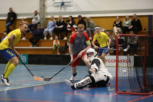 Klikk for stort bilde