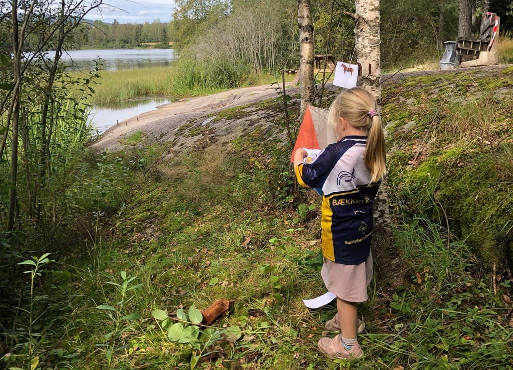 Klikk for stort bilde